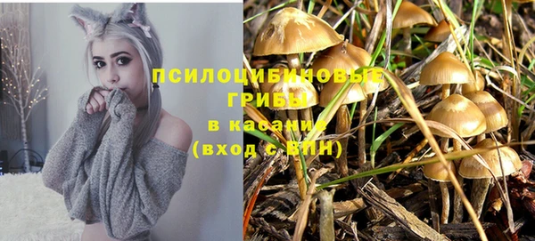 молекула духа Абаза