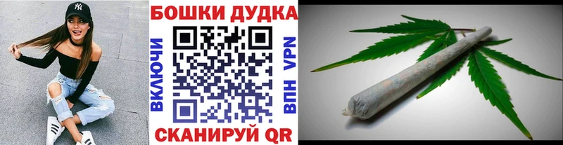 Канабис SATIVA & INDICA  Терек 